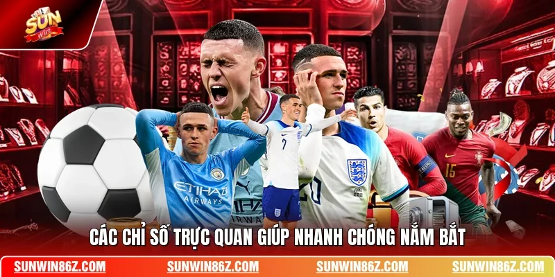 Các chỉ số trực quan giúp nhanh chóng nắm bắt