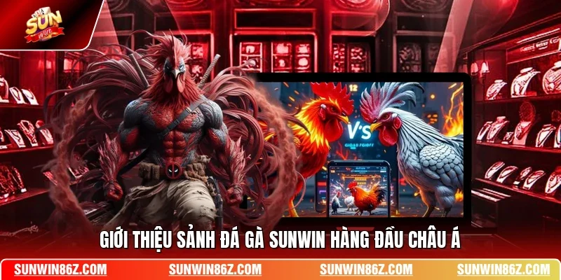 Giới thiệu sảnh đá gà SUNWIN hàng đầu châu Á