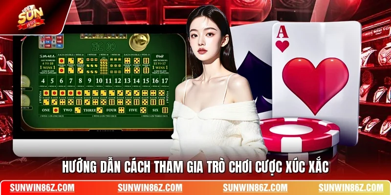 Hướng dẫn cách tham gia trò chơi cược xúc xắc