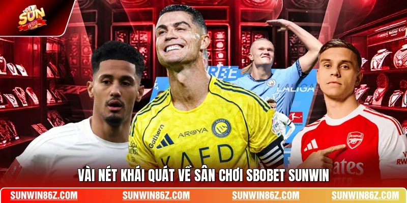 Vài nét khái quát về sân chơi SBOBET SUNWIN